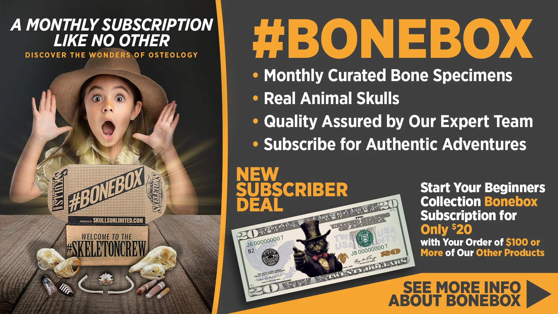 Masterpieces of Natural Osteology