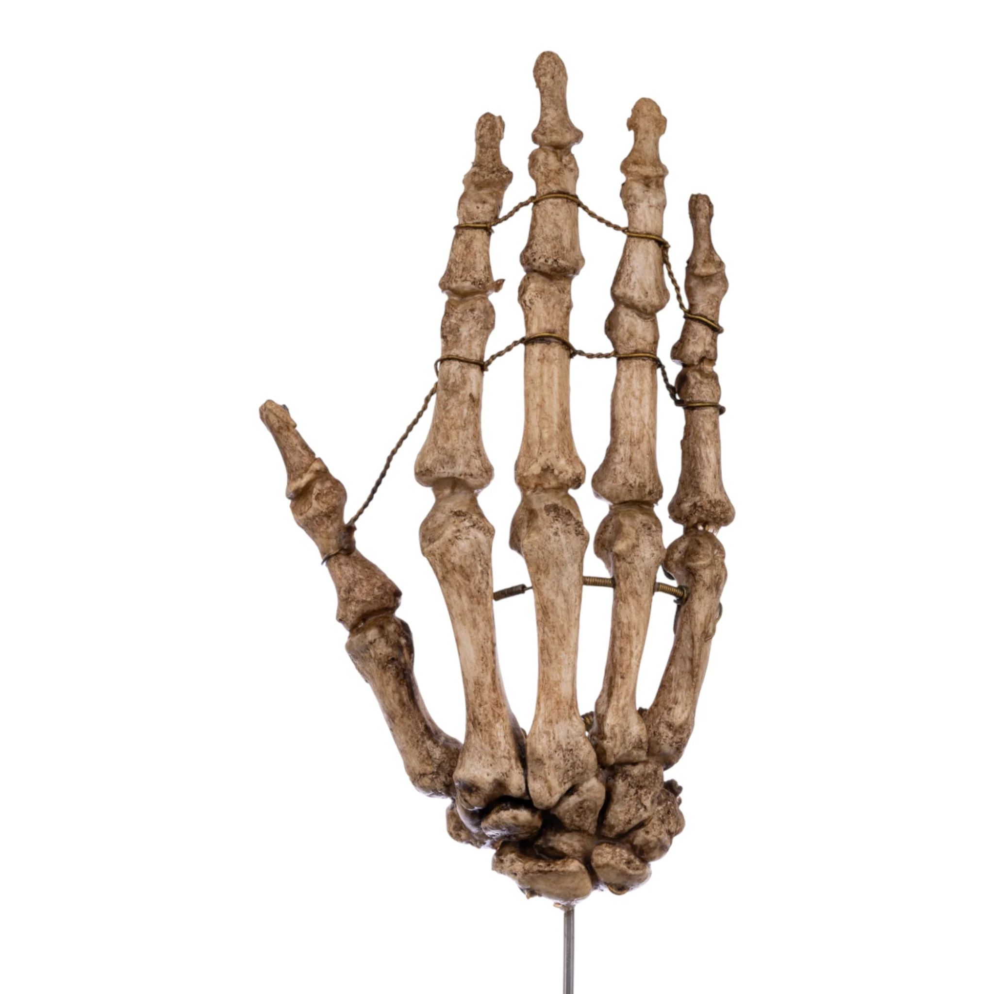 Thumb 3