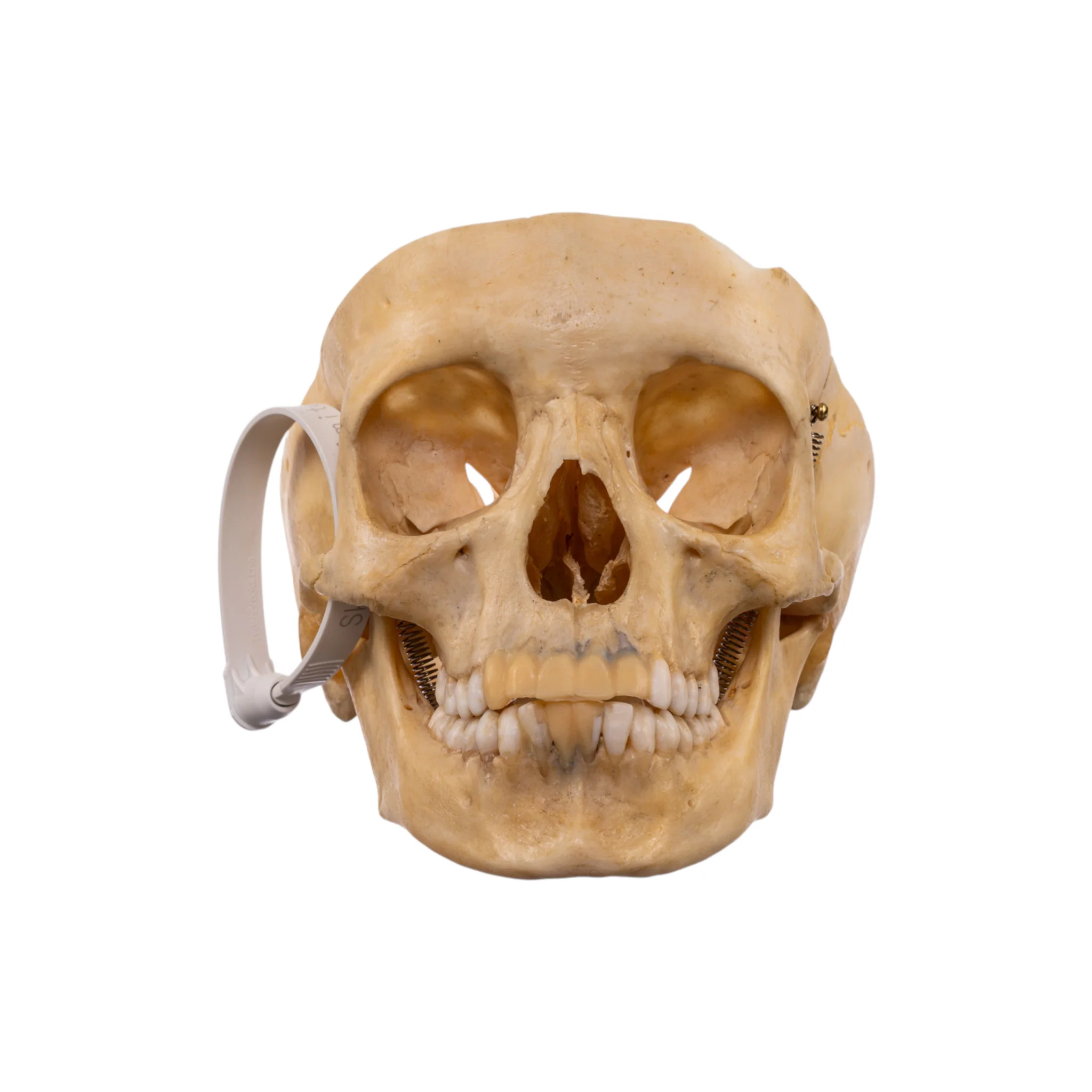 Thumb 3
