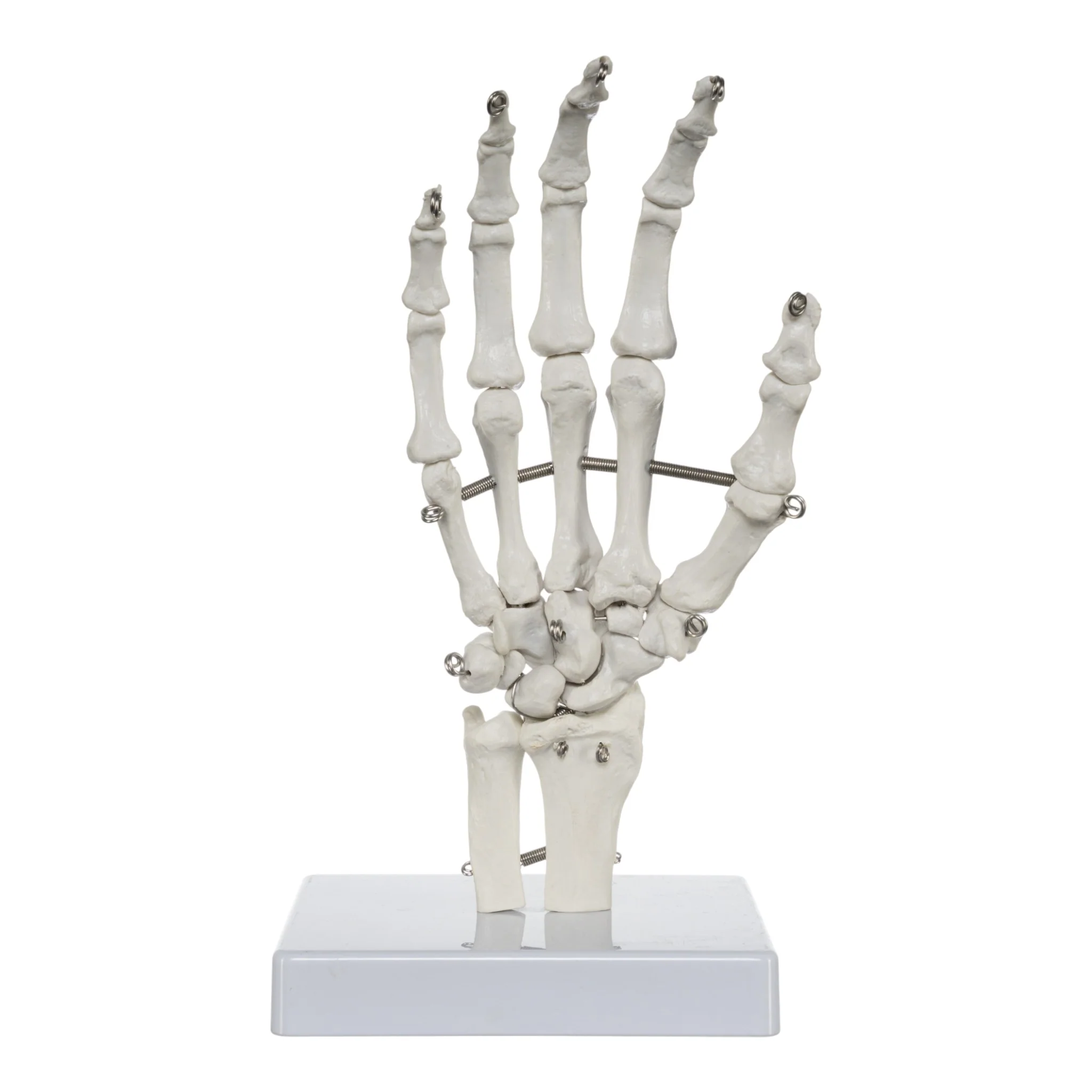 Thumb 3